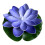 Flydende poollys LED lotusblomst 6 stk. 1
