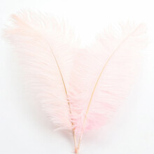 Ostrich feathers decorative 30–35 cm assorted colors