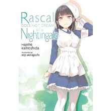 Rascal Does Not Dream of a Nightingale light novel by Keji Mizoguchi P
