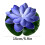 Flydende poollys LED lotusblomst 6 stk. 2