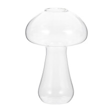 Jarrón de cristal hidropónico para macetas y terrarios de setas