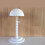 Portable Plastic Wig Holder Adjustable Height Rack 7