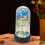 Glasroseblomst gave til kvinder 1 stk. 7