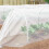 VidaXL vidaXL Insect Net White 3 x 25 m Polyethylene 4