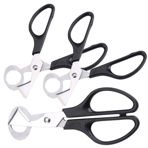 Ciseaux à œufs de caille en acier inoxydable, lot de 3
