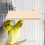 Plataforma de Pouso de Madeira para Aves, Compatível com Gaiolas Padrão para Periquitos e Hamsters 3