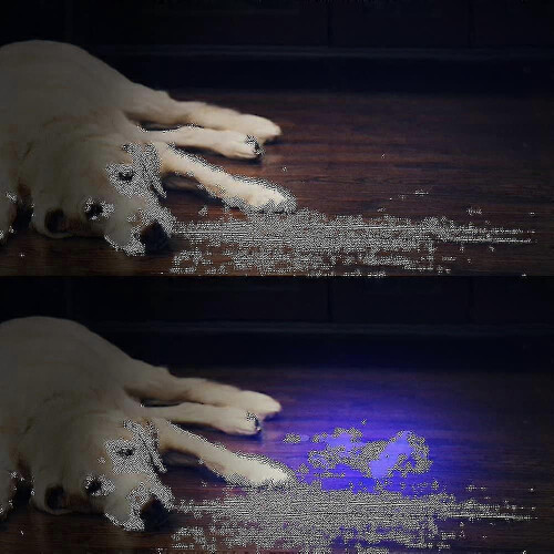 Lanterna UV 51 LEDs para Detecção de Manchas, Autenticação de Documentos e Escorpiões 2
