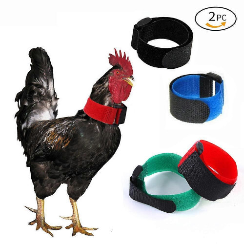 Anti-Crowing Rooster Collars, 8-Pack Adjustable Durable Nylon, Noise Reduction, Multi-Colour 1