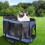 Soft Mesh Pet Carrier Bag for Pets Under 13 lb 7