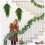 Artificial Branches Norfolk Hanging Vine Decoration 6