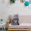3D Plush Cat Accent Pillows Decorative Cushions 2 Pack 6