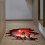 Halloween Wall Decals Ghost Hand Removable 3D 5