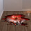 Halloween Wall Decals Ghost Hand Removable 3D 7