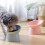 Jacenvly Dog Feeding Bowl Tilted 15 Degree 4