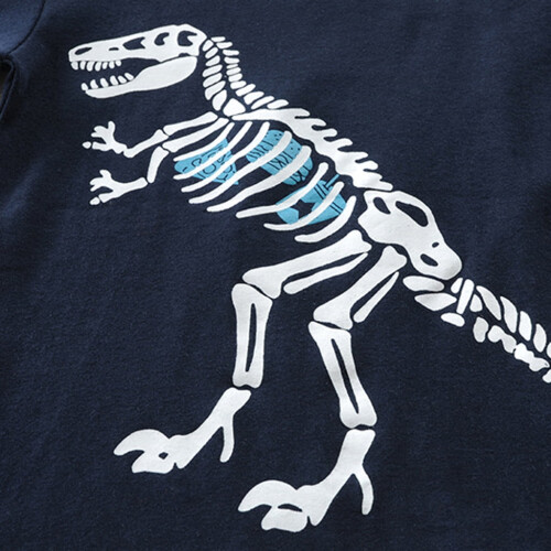 Chlapčenské šortky s dinosaurom, sada 1 – 6 rokov 2