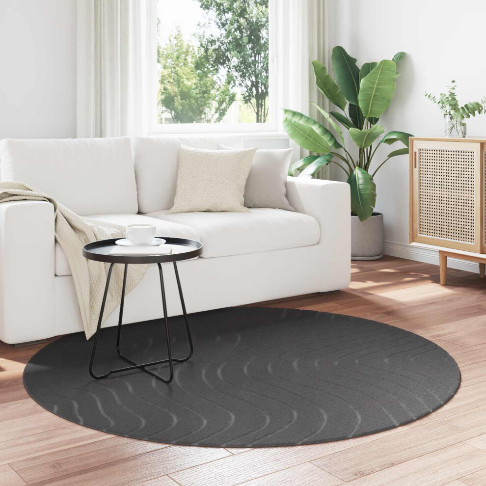 Vidaxl Area Rugs Round Palmeras Anthracite Ø 200 Cm Polyester