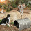 Foldable Waterproof Outdoor Cat House Black Medium 6