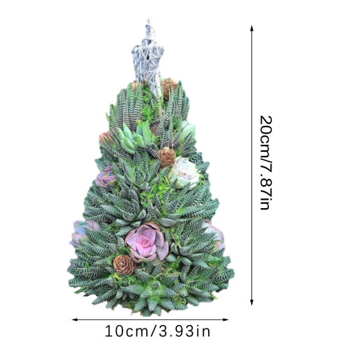 Julepynt med sukkulent tre 2