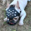 Grinch Christmas Dog Muzzle Short Rubber 1 Piece 8