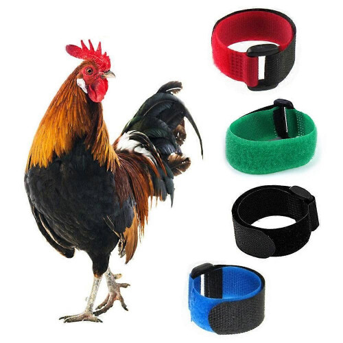 Anti-Crowing Rooster Collars, 8-Pack Adjustable Durable Nylon Noise Reduction, Multi-Colour