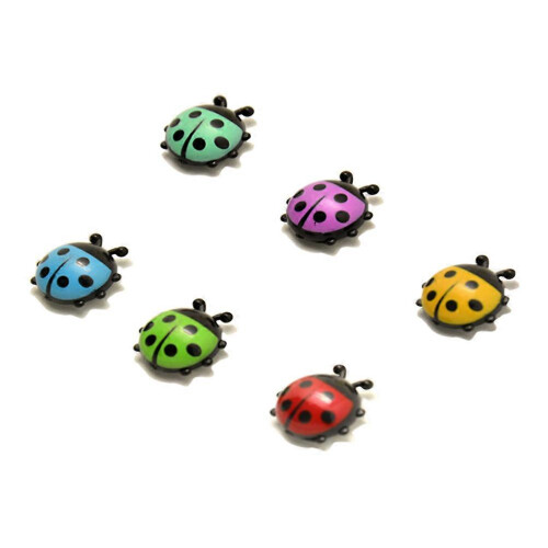 Ladybug Shaped Fridge Magnets, Plastic Magnetic Photo Clips, Assorted Colours, 6 Pack 1