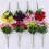 Real Touch Silk Carnations Bouquet 11-Head 8