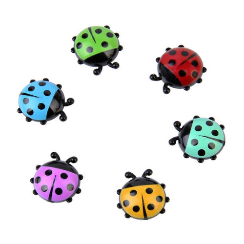 Ladybug Shaped Fridge Magnets, Plastic Magnetic Photo Clips, Assorted Colours, 6 Pack 2