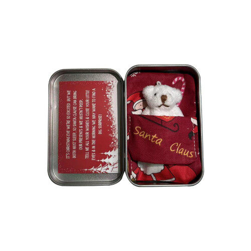 Mini Urso de Pelúcia com Caixa de Lata - Presente de Natal 2