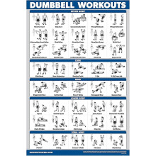 Court Learning Dumbbell Workout Poster, Laminated Tear Resistant Double Sided, Home Fitness Chart, 45cm x 60cm, Free Bodyweight Fitness Guide