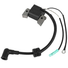 Bobina de Ignição Compatível com Yamaha F4L F4S F6L F6S F6C Hidea F6 Motor de Popa 4 Tempos, Preta, Material Plástico