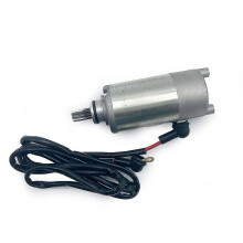 Motor de arranque metálico 1.5kg, Compatível com Jianshe 250cc Mountain Lion JS250 Loncin Puma Wild Cat ATV UTV Quad Bike, 9 dentes