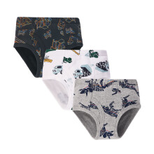 Boy's summer underwear cartoon dinosaur print 3-pack