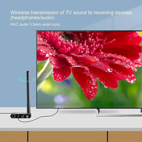 2.4G Wireless Audio Transmitter and Receiver, 50M Range, 3.5mm R/L RCA Audio Adapter, External Antenna, Automatic Connection, Black ABS
``` 2