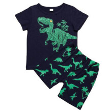 Dinosaur T-shirt and Shorts Set for Boys 2-7 Years