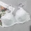 Women's Plus Size Lace Underwire Bra Full Coverage Padded 3