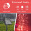 Koperen solar lichtslinger 50 LED's 8 standen rood 3