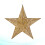 Christmas Metal3D Barn Star Wall Decor Golden30cm 2