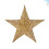 Christmas Metal3D Barn Star Wall Decor Golden30cm 3