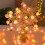 LED Rose String Lights White Pink 3m 20LED USB Powered 7