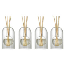 4X Aufbewahrungsbehälter, Diffusorflaschen, Aromatherapie-Diffusorflasche, Moderne Diffusor-Glasflasche, Organizer für Ätherische ÖLe, A