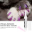 60Pièces Adhésive Pour Ongles De Chats 4