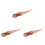 3Pièces Modèles Animaux Simulés Orthoceras Rouge Décor Maison 1