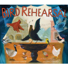 Bird Rehearsal A Picture Book by Jonah Winter Hardcover Book