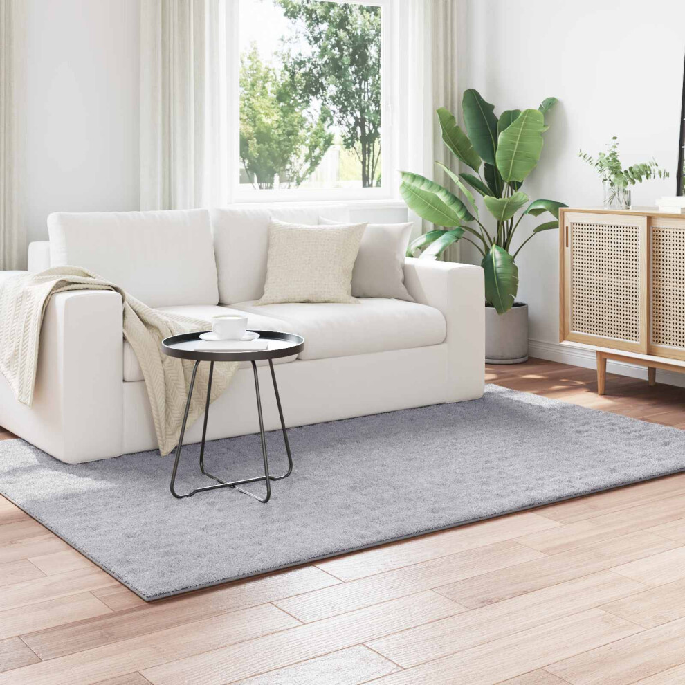 Vidaxl Area Rugs Rectangular Sirolo Grey 170 X 120 Cm Polyester
