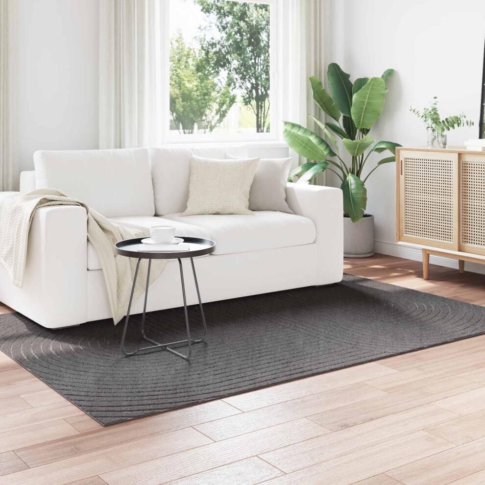 Vidaxl Area Rugs Rectangular Palmeras Anthracite 170 X 120 Cm