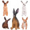 10Pièces Figurines Simulation Jouets Légers Durable Pour Enfants 4