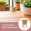 4Pièces Râtelier Plantes En Support Pot Fleurs Durable 6