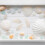 300Pièces Conques Blanches Pour Décor Tropical Centre De Table 11