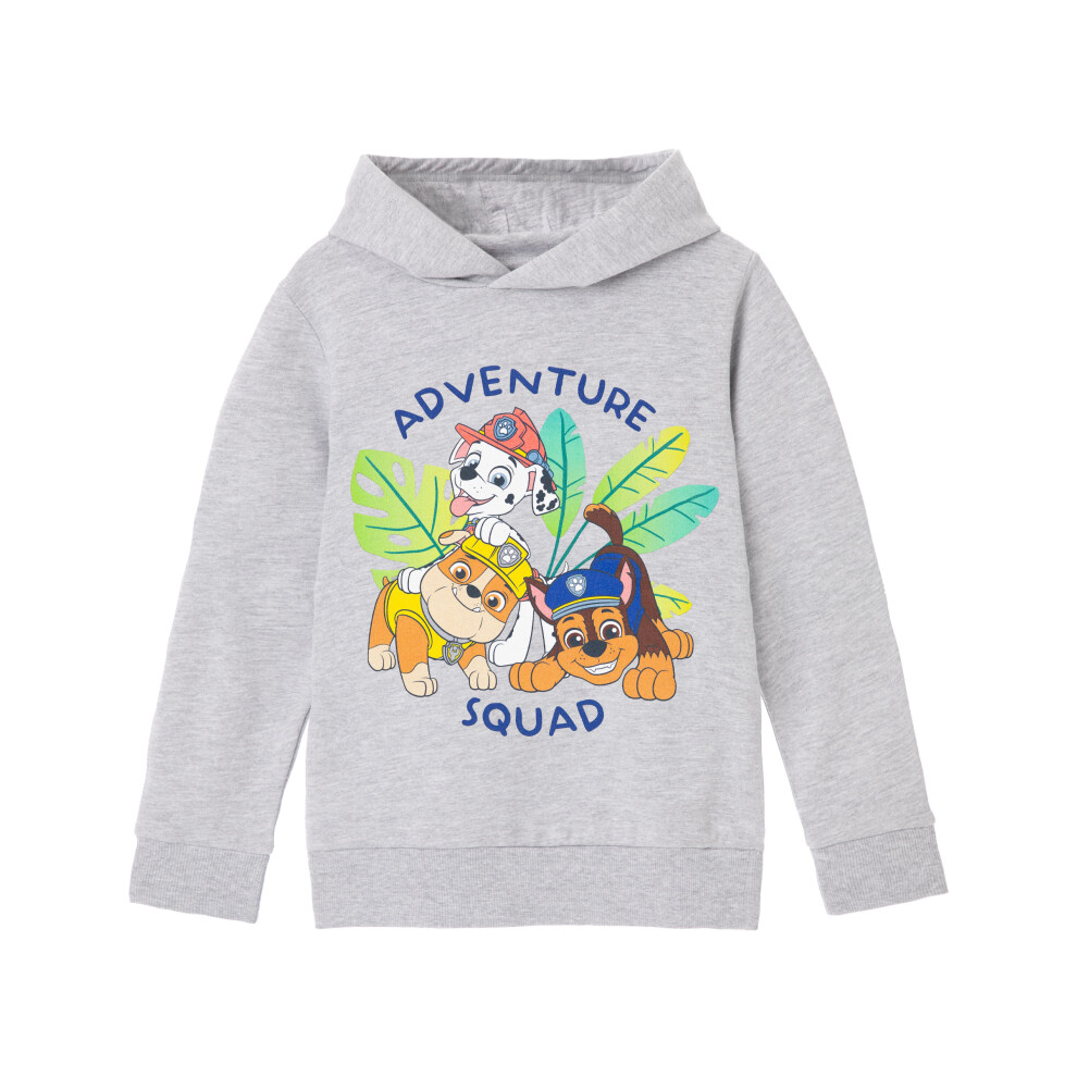 Paw Patrol (5-6 Years) Hoodie (Boys Grey)