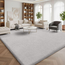 Homaxy Modern Rugs Carpet Living Room, Soft Shaggy Non-Slip Non-Shedding, Fluffy Washable Large Rug for Bedroom Hallway, Easy Care Home Decor